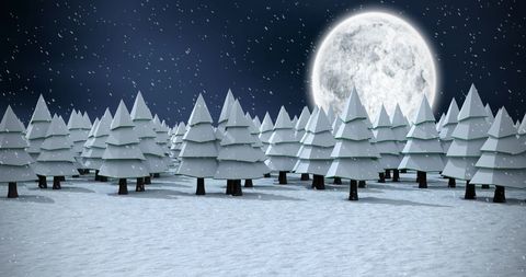Winter Night with Snow-Covered Trees and Full Moon