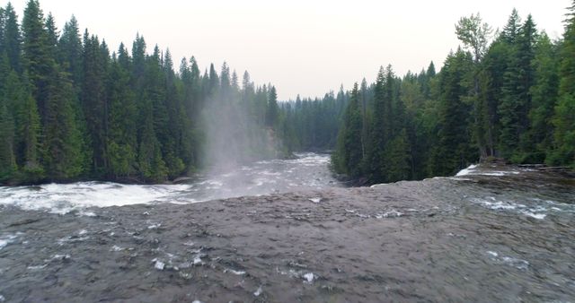 Mist Rising from Waterfall in Pristine Forest - Download Free Stock Images Pikwizard.com