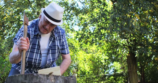 Senior Man Chopping Wood in Outdoor Forest Setting - Download Free Stock Images Pikwizard.com