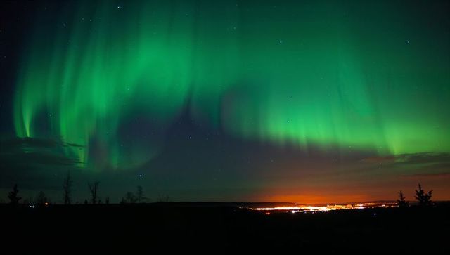 Vivid northern lights dancing above rural ridge with silhouetted trees and distant lights