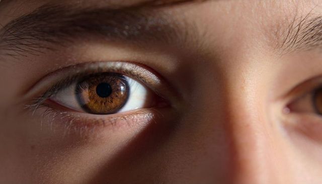 Macro close-up portrait of brown iris showing detailed cornea highlight, lashes, pores and skin text