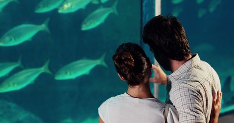 Couple Embracing Serenity Watching Aquarium Fish Together