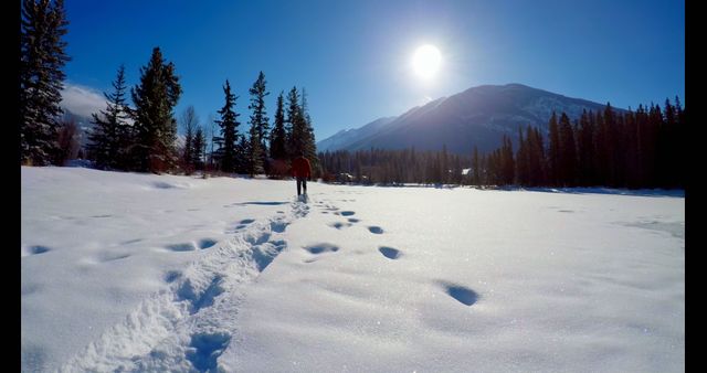 Winter Scene Man Walking in Snowy Landscape Under Bright Sun - Download Free Stock Images Pikwizard.com