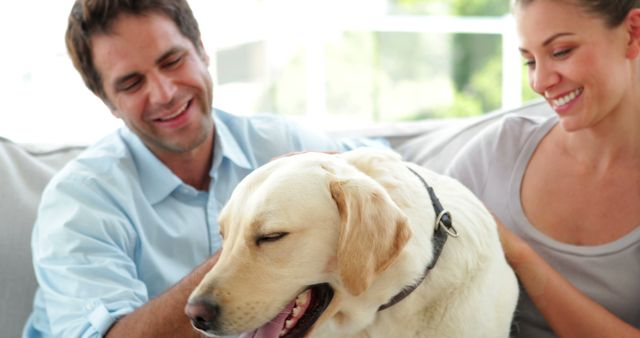 Happy couple petting their labrador dog on the couch at home in the living room