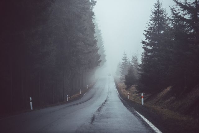 Foggy winding road and misty forest create eerie, tranquil atmosphere. Perfect for themes of mystery, solitude, travel, and nature. Suitable for illustrations in blogs, travel websites, inspirational quotes, or storytelling visuals.