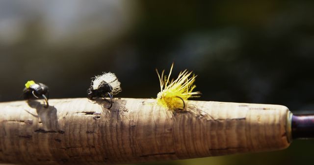 Close-up of Fishing Flies on Wooden Fishing Rod - Download Free Stock Images Pikwizard.com