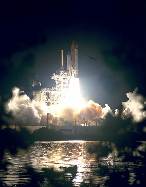 KENNEDY SPACE CENTER, Fla. --   A bird (at upper right) soars near the Space Shuttle Endeavour as the vehicle lifts off from Launch Pad 39A on the first U.S. mission dedicated to the assembly of the International Space Station. Liftoff on Dec. 4 was at 3:35:34 a.m. EST. During the nearly 12-day mission, the six-member crew will mate in space the first two elements of the International Space Station the already-orbiting Zarya control module with the Unity connecting module carried by Endeavour. Crew members are Commander Robert D. Cabana, Pilot Frederick W. "Rick" Sturckow, and Mission Specialists Nancy J. Currie, Jerry L. Ross, James H. Newman and Sergei Konstantinovich Krikalev, a Russian cosmonaut. This was the second launch attempt for STS-88. The first one on Dec. 3 was scrubbed when launch controllers, following an assessment of a suspect hydraulic system, were unable to resume the countdown clock in time to launch within the remaining launch window