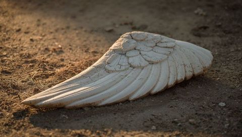 Weathered ceramic angel wing sculpture resting on sunlit dry soil with golden shadows
