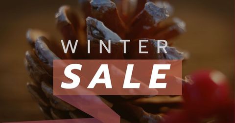 Winter Sale Promotion with Festive Christmas Decoration