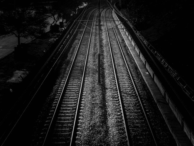 Railroad Tracks Amidst Trees - Download Free Stock Photos Pikwizard.com