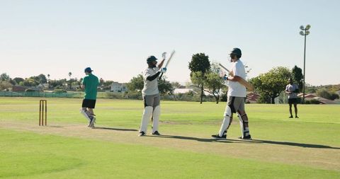 Batsmen raising bats celebrating runs on suburban cricket pitch under blue sky