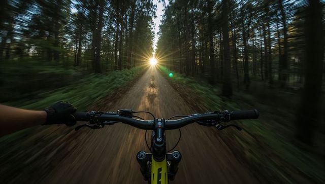Sunflare trail rush - first-person mountain biking through pine forest during golden hour