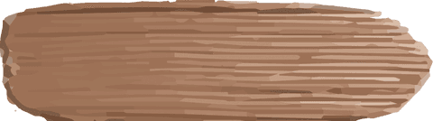 Rustic wooden plank with irregular edges on transparent background