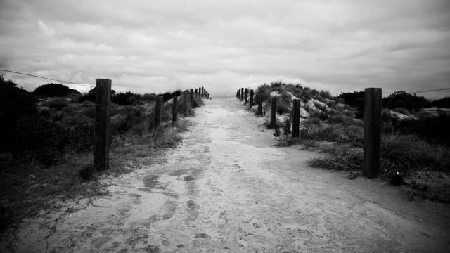 Pathway leading to sandy dunes with wooden posts on both sides in black and white. Ideal for use in travel blogs, nature retreats, outdoor adventure promotions, and coastal scenery collections.