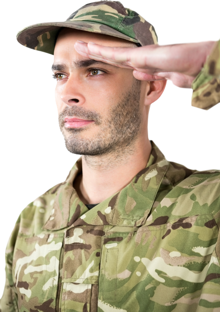 Serious Soldier Saluting in Camouflage Uniform on Transparent Background - Download Free Stock Videos Pikwizard.com