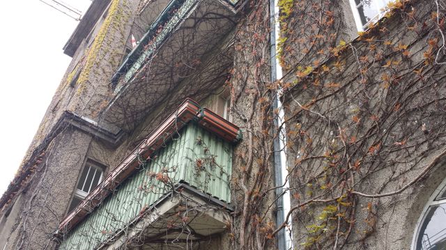 Old building with ivy-covered balconies and textured walls, showcasing elements of urban decay and rustic architecture. Suitable for use in projects related to historic buildings, urban exploration, and nature reclaiming urban spaces. Can be used in articles, blogs, and presentations discussing architecture, solvents, nature's power over man-made structures, or as a visually striking element for storytelling in multimedia projects.