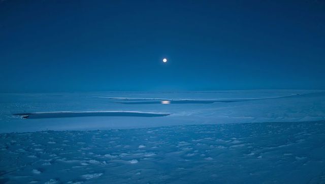 Moonlit arctic expanse reflecting on open leads across polar sea ice at midnight blue