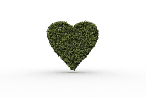 digital heart shaped grass concept on transparent background - Download Free Stock Videos Pikwizard.com