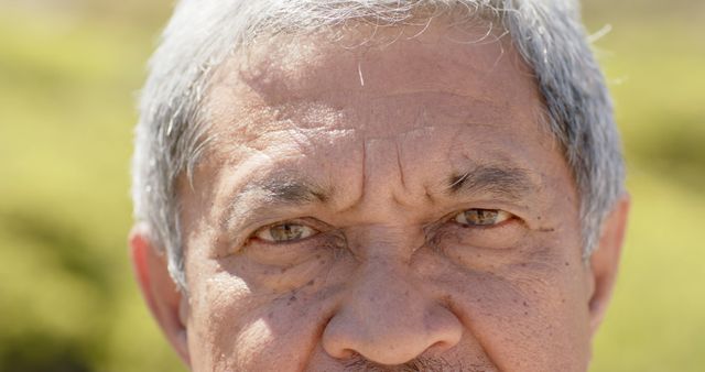 Close-up of an elderly man with gray hair showing a serious and thoughtful expression outdoors. His face displays mature characteristics such as wrinkles and a furrowed brow. Suitable for use in healthcare, aging, retirement, wisdom, and senior lifestyle themes.