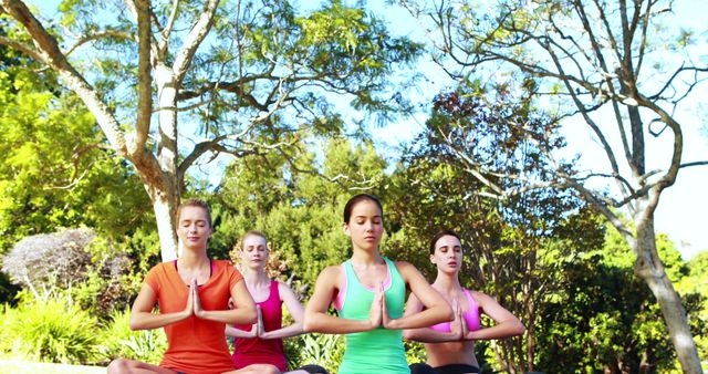 Women Meditating Outdoors in Yoga Poses Amidst Trees and Nature - Download Free Stock Images Pikwizard.com