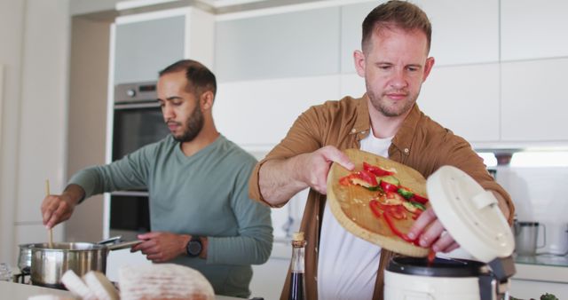 Two Diverse Men Cooking Together in Modern Kitchen - Download Free Stock Images Pikwizard.com