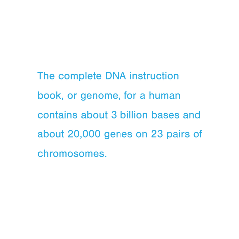 transparent dna genome text on chromosome studies - Download Free Stock Videos Pikwizard.com