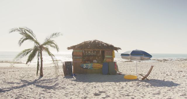 Tropical Beach Rental Hut with Palm Trees and Umbrellas - Download Free Stock Images Pikwizard.com