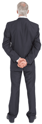 business professional standing transparently from behind - Download Free Stock Videos Pikwizard.com