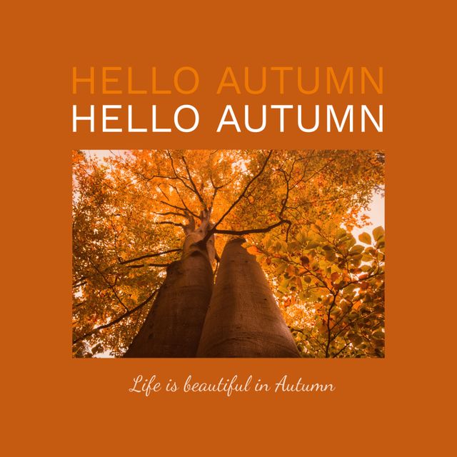 Colorful Autumn Trees with Text 'Hello Autumn' and Inspirational Quote - Download Free Stock Templates Pikwizard.com