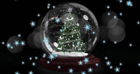 Christmas Tree in Snow Globe with Snowflakes on Black Background