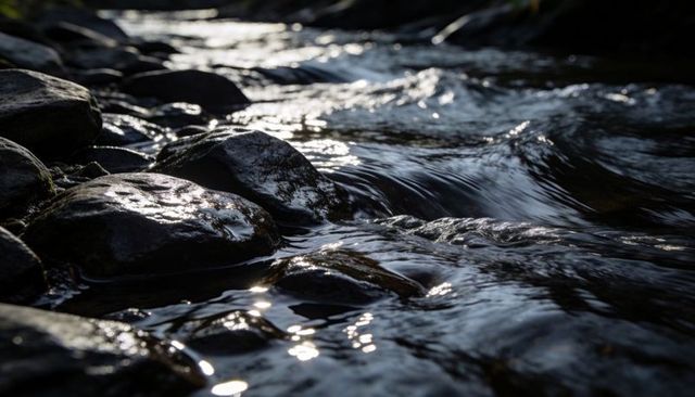 Sunlight glinting on flowing creek water over wet smooth rocks in forest stream