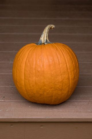 Single orange pumpkin on wooden steps for autumn celebration