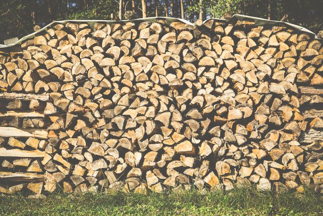 Stacked firewood logs outdoors on sunny day in woodland area. Perfect for themes related to preparation for winter, woodworking, rustic living, sustainable resources, rural lifestyle, outdoor activities, and natural materials.