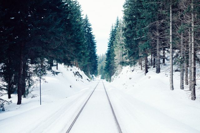 Snow covered railway track stretching through a dense forest of pine trees in winter. Used for travel, nature scenery prints, or winter-themed designs reflecting serene outdoor environments and seasonal transportation.