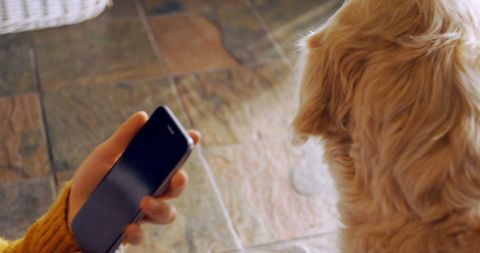 Teenager Using Smartphone at Home with Golden Retriever