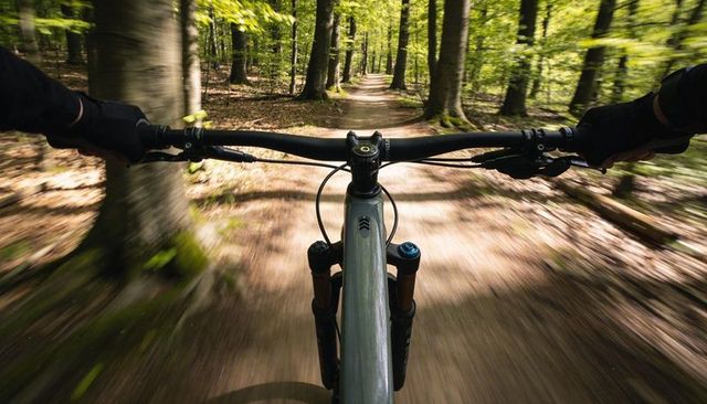 POV Mountain Biking Through Sunlit Forest Singletrack, Speed Motion on Narrow Trail