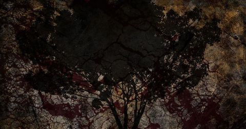 Vintage Tree Silhouette with Grunge Texture and BG - Download Free Stock Images Pikwizard.com