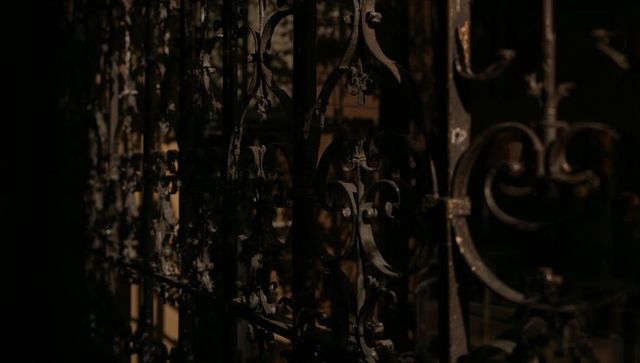 Moody wrought iron gate with rust patina fleur-de-lis scrollwork and latch