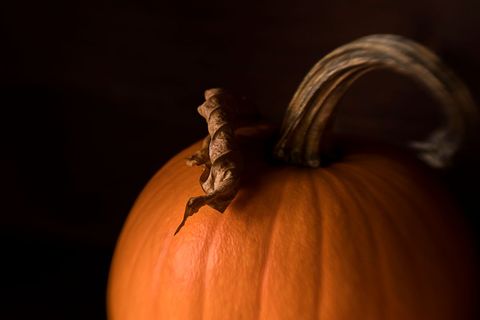Close-Up of Pumpkin with Dramatic Lighting