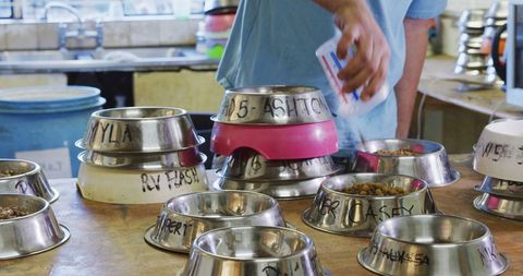 Caregiver Preparing Pet Meals in Animal Shelter with Love - Download Free Stock Images Pikwizard.com