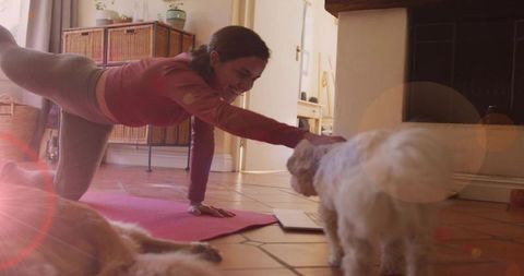 Balancing woman reaching for small dog during home yoga session with laptop and sunlight