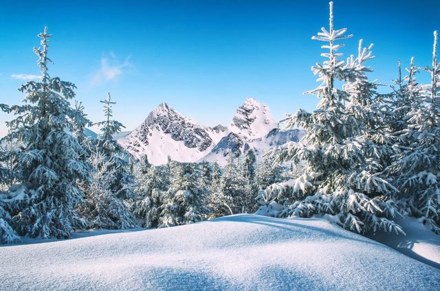 Snow-covered Alpine Landscape with Mountains and Trees - Download Free Stock Photos Pikwizard.com