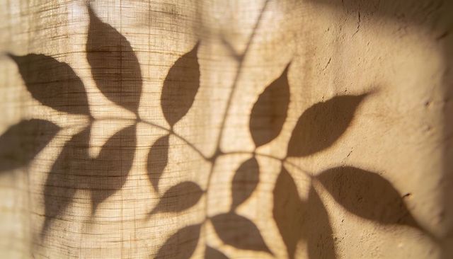 Warm sunlight casting leafy shadow across woven curtain and textured plaster wall