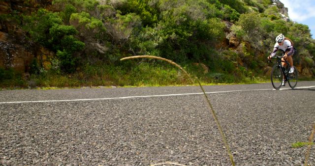 Cyclist Riding on Mountain Road Surrounded by Greenery - Download Free Stock Images Pikwizard.com