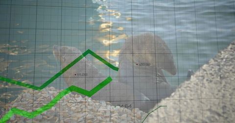 Financial growth and ecological conservation represented by seals and data graph