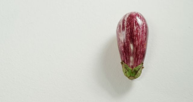 A single striped eggplant lies against a white background, with copy space. Its unique pattern and simple presentation make it ideal for topics related to cooking, vegetarian cuisine, or agriculture.