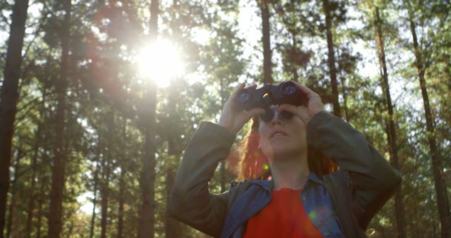 Woman Birdwatching with Binoculars in Forest During Sunny Day - Download Free Stock Images Pikwizard.com