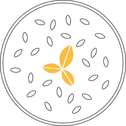 geometric botanical design with golden transparent motif - Download Free Stock Videos Pikwizard.com