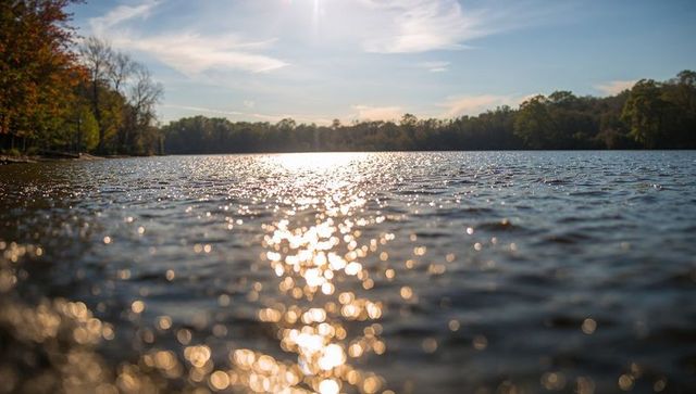 Sunlit lake surface sparkling with bokeh reflections, autumn forest shoreline landscape