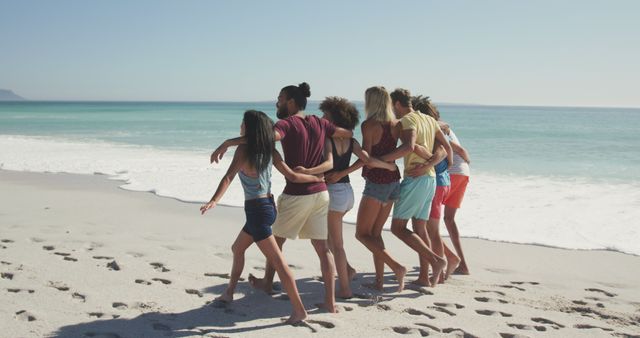 Back view diverse males and females walking on beach. Summer, free time, chill, vacation, happy time, friendship.